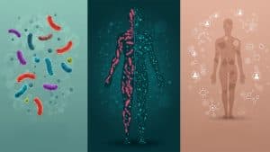 The Three Hidden Forces That Control Your Aging Process