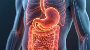 The Gut-Sleep Connection: Unlocking the Secrets of Better Rest Through Digestive Health