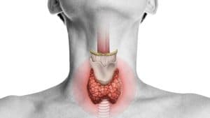 Unraveling the Complexities of Thyroid Disease: Diagnosis, Treatment, and Optimal Health