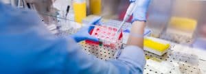Navigating the Complex Science of Nutrition for Better Health
